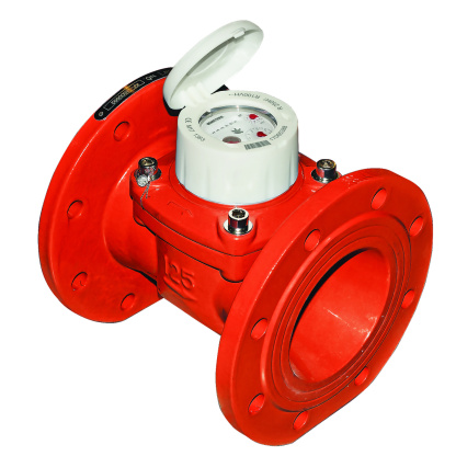 B-Meter WDE-K30 Water Flow Meter - Image 3
